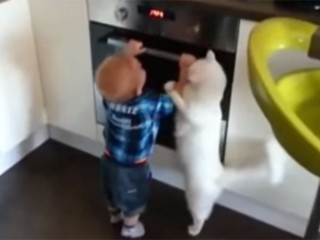 猫が赤ちゃんに教育指導「イタズラはダメにゃ!」
