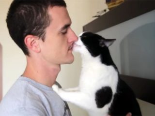 「キスしたいにゃ♡」 パパとママが大好きな究極の甘えん坊猫♪
