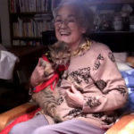 猫とおばあちゃんの仲良し動画。猫がお年寄りに懐く理由は?