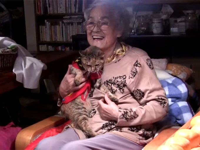 猫とおばあちゃん